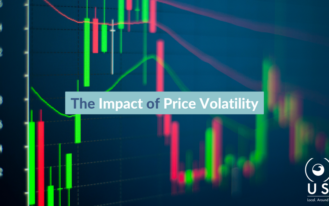 The Impact of Price Volatility