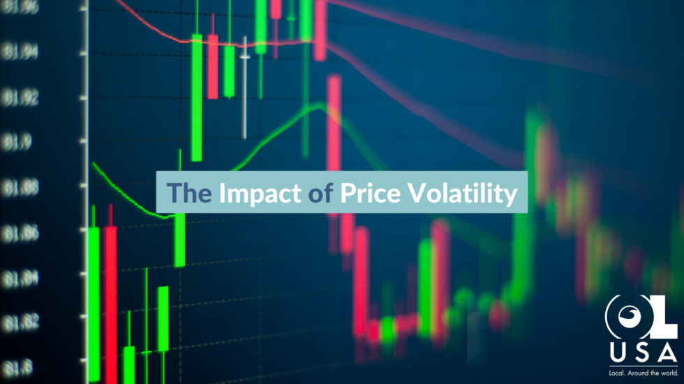 The Impact of Price Volatility