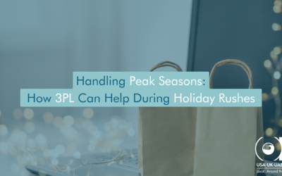 Handling Peak Seasons: How 3PL Can Help During Holiday Rushes