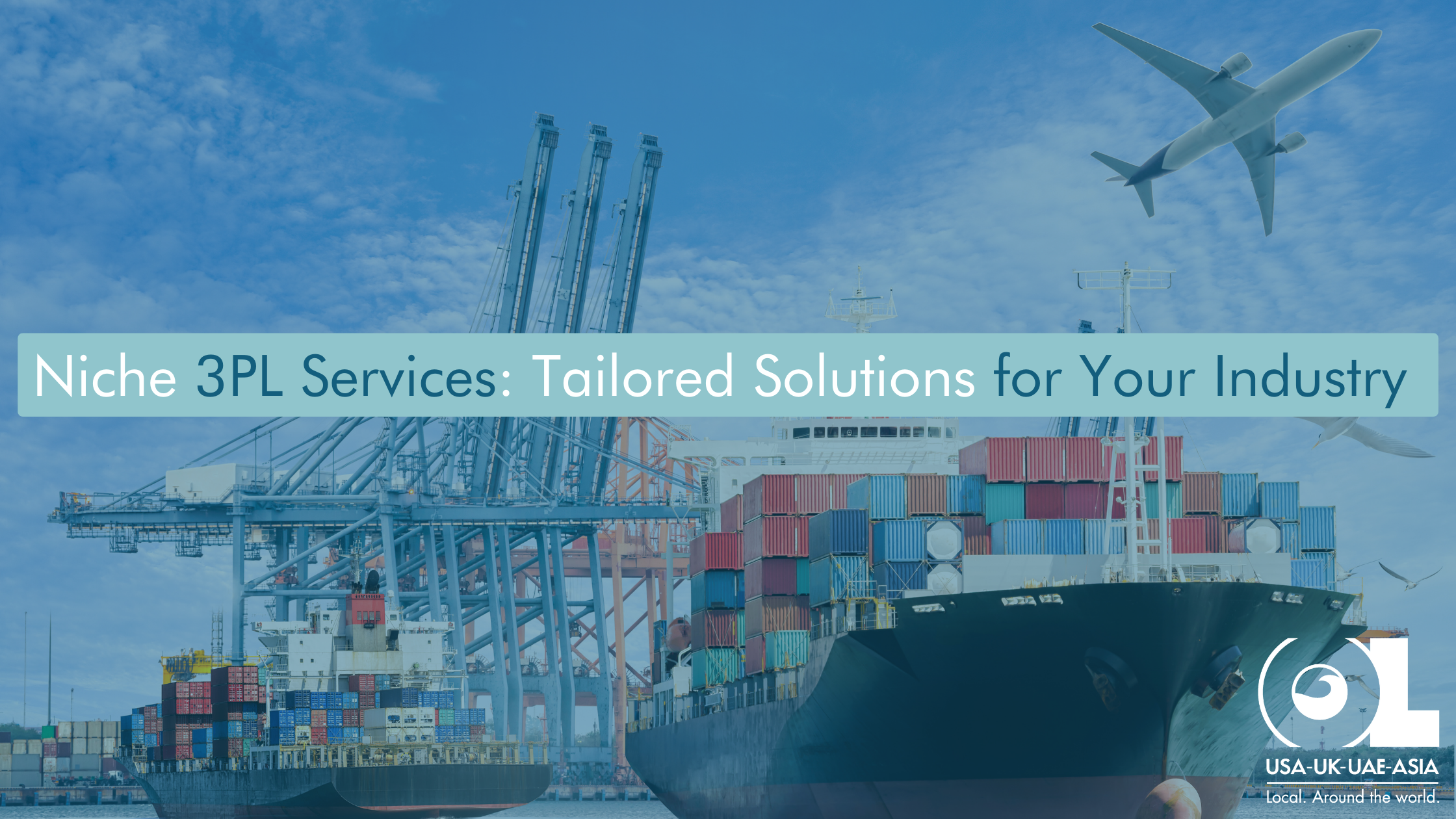 Niche-3PL-Services-Tailored-Solutions-for-Your-Industry-OL-USA